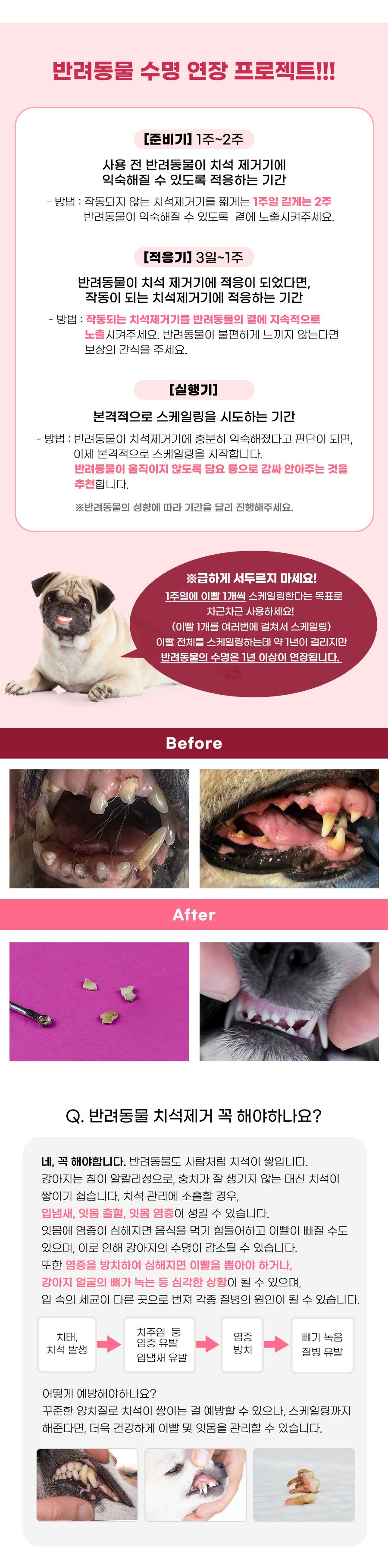 [무료배송] 마이펫닥터 독 치아세정기  3번째