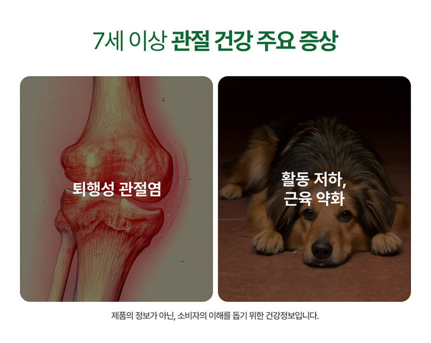 [NEW신상][무료배송] 포바운티 독 조인트 서포트 시니어 7세 이상 100g 18번째