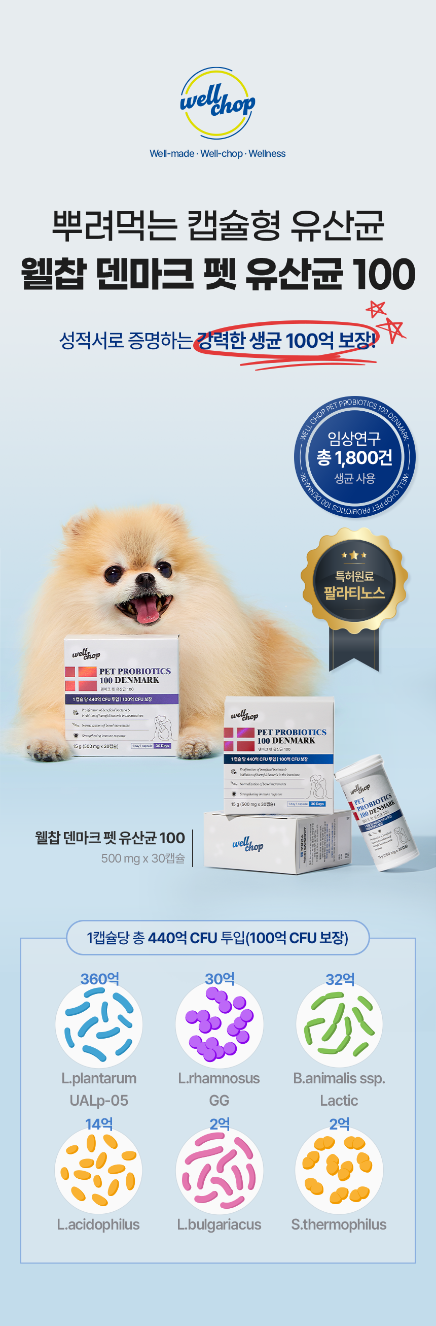 [브랜드전][무료배송] [유통기한임박, 26년3월19일] 웰찹 강아지 고양이 덴마크 펫 유산균 100 500mg 6번째