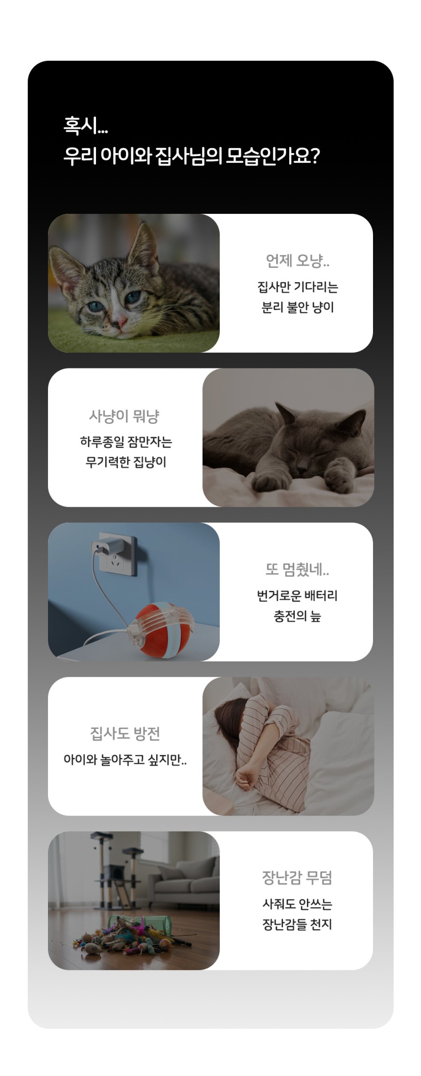 [NEW신상][무료배송] 행복한댕냥이 캣 냥냥펀치 오뚝이 장난감 1번째