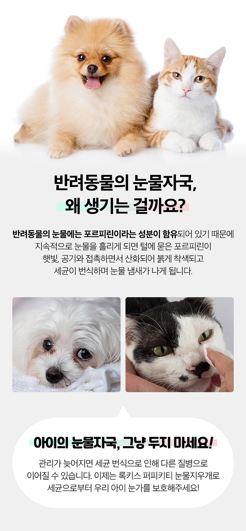 [무료배송] 록키스 샴푸&눈물지우개 세트 24번째