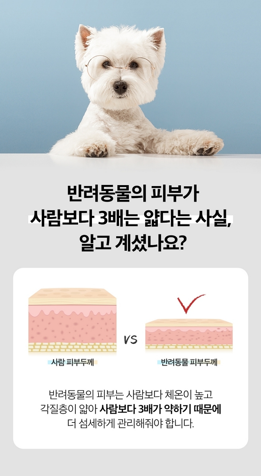 [무료배송] 록키스 샴푸&눈물지우개 세트 9번째