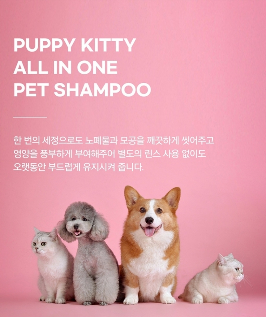 [무료배송] 록키스 샴푸&눈물지우개 세트 6번째