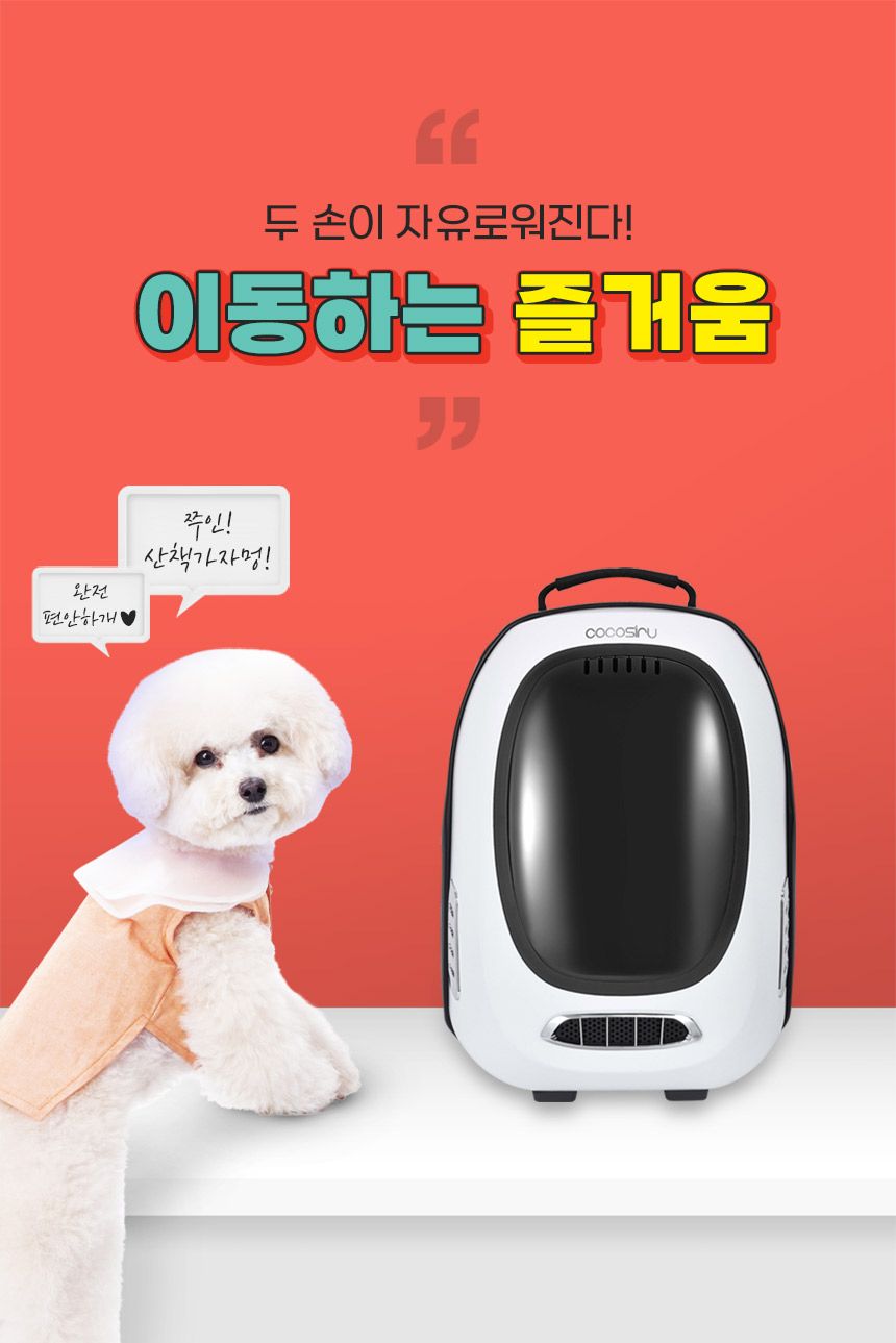 [무료배송] 코코시루 펫 이동가방 화이트 (C10BP) 5번째