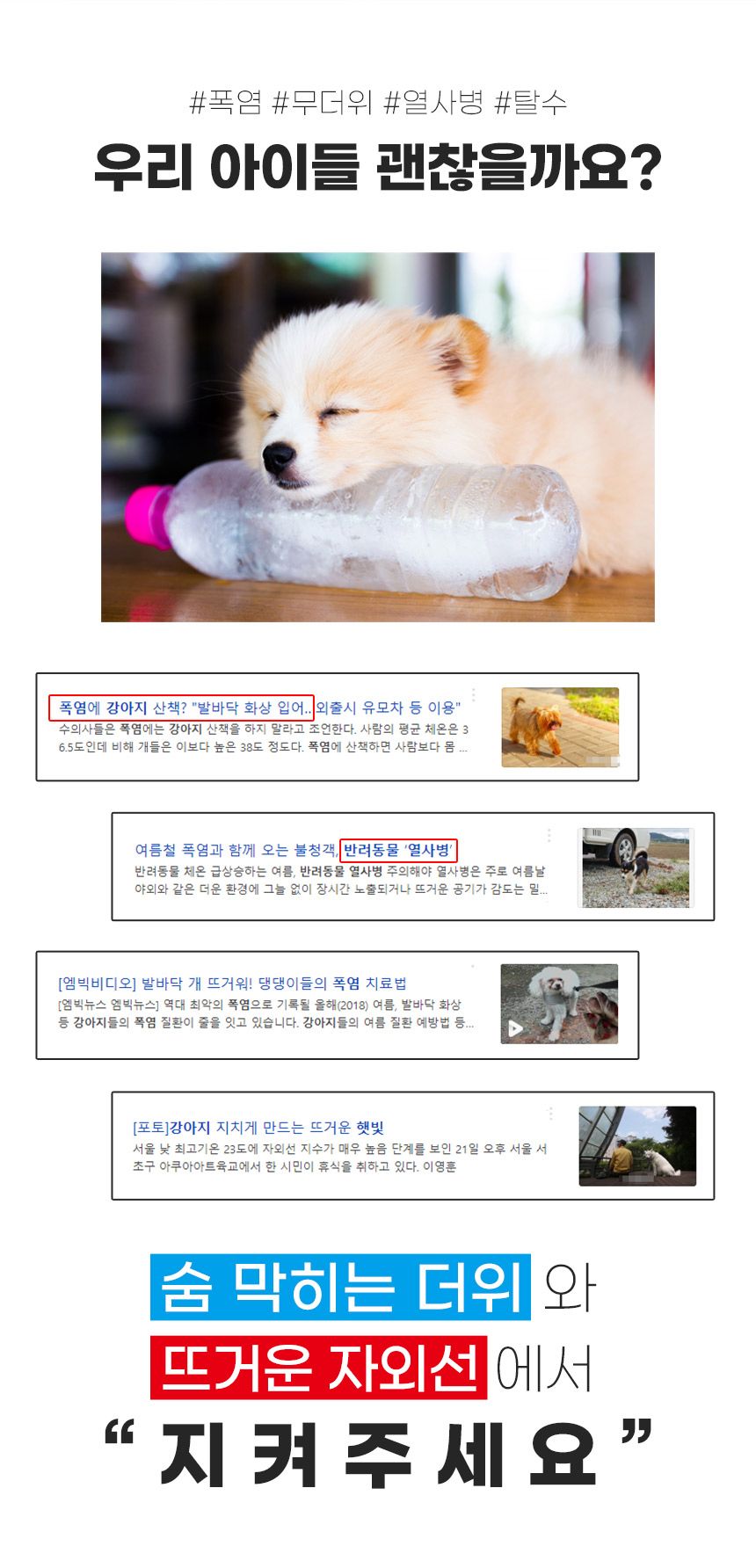 [무료배송] 코코시루 펫 이동가방 화이트 (C10BP) 9번째