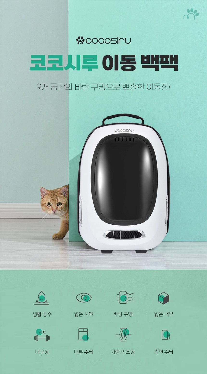 [무료배송] 코코시루 펫 이동가방 화이트 (C10BP) 4번째