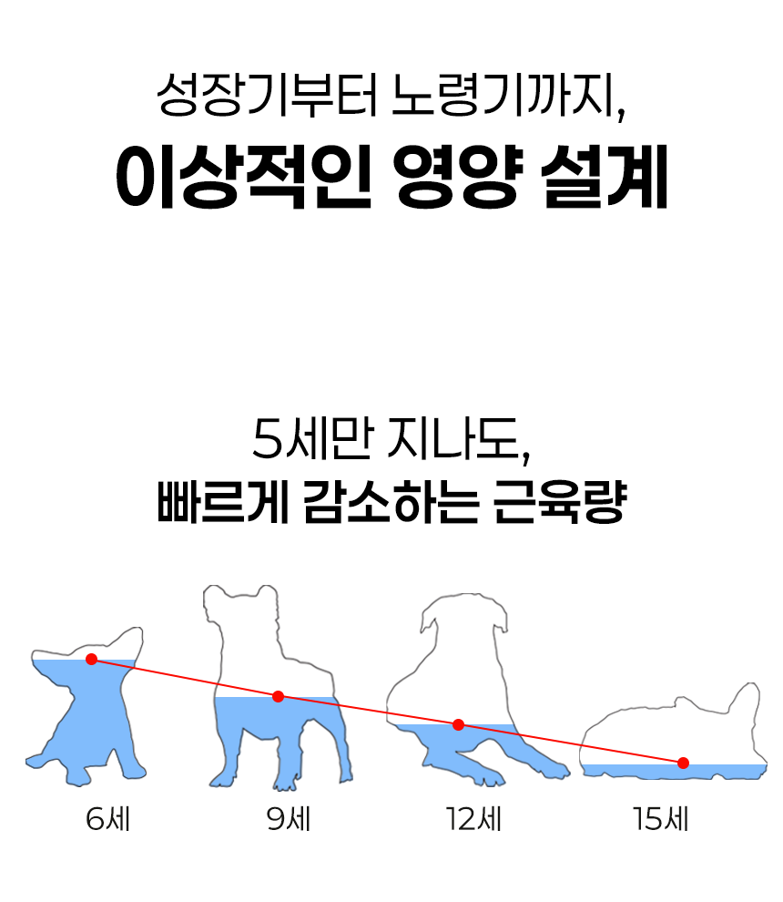 [NEW신상][무료배송] 애니먼 바나나맛 애니유 150ml*10ea 6번째
