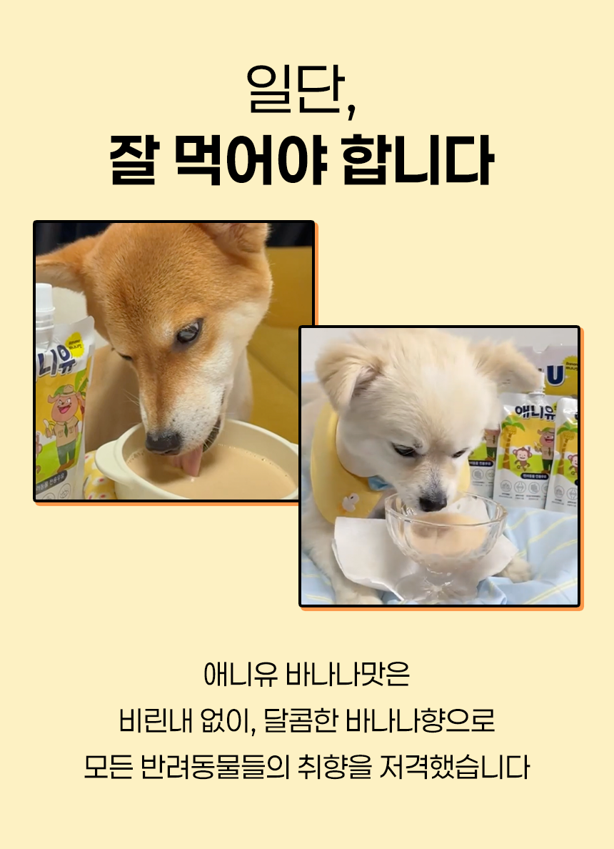 [NEW신상][무료배송] 애니먼 바나나맛 애니유 150ml*10ea 4번째