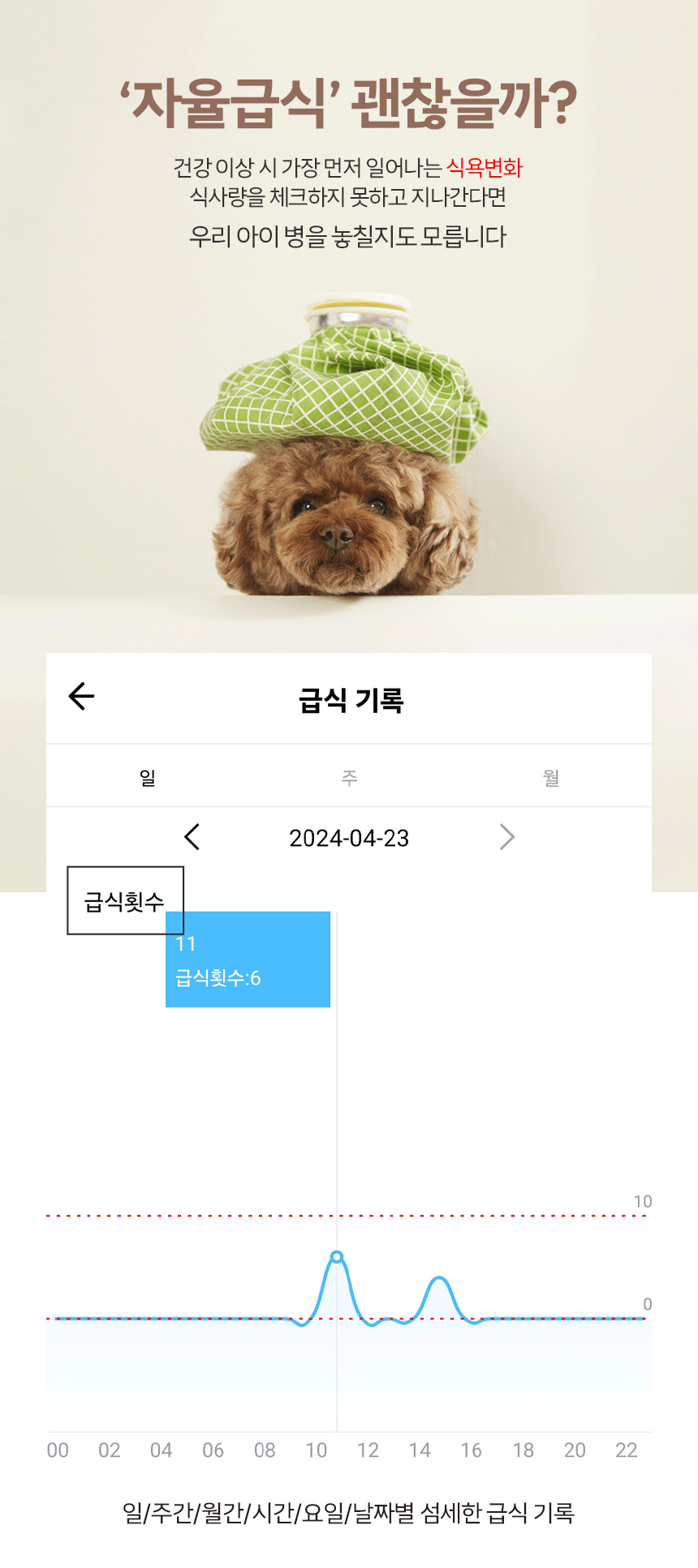 [무료배송] 라인프렌즈 코코시루 펫 카메라 자동급식기 CL3PFC 강아지 고양이 반려동물 홈캠 17번째