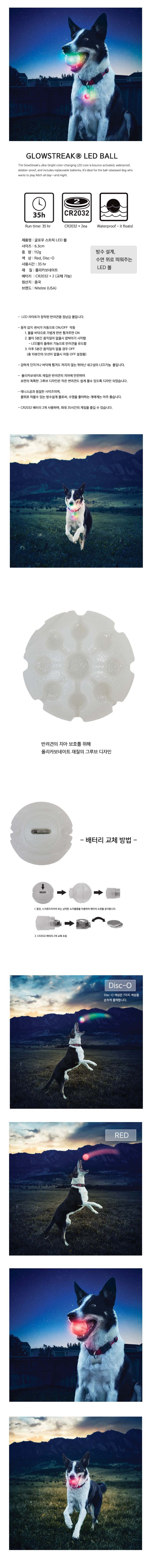 [무료배송] 나잇 아이즈 글로우 스트릭 LED 볼 디스코/레드 1번째