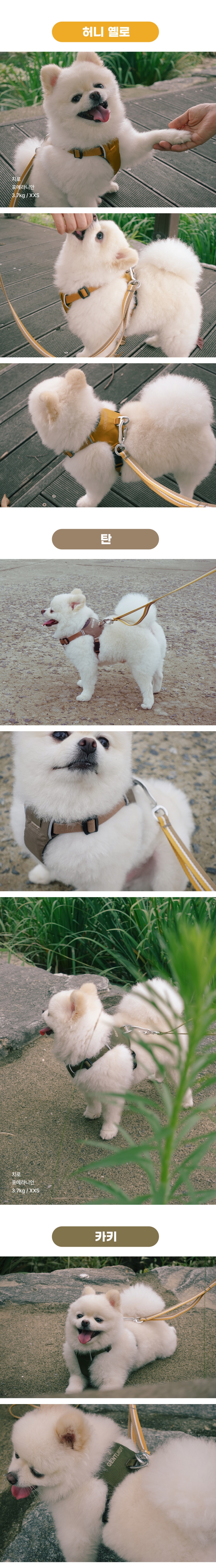 [NEW신상][무료배송] 젠틀우프 미니 하네스 소형견용 (6color/2size) 4번째
