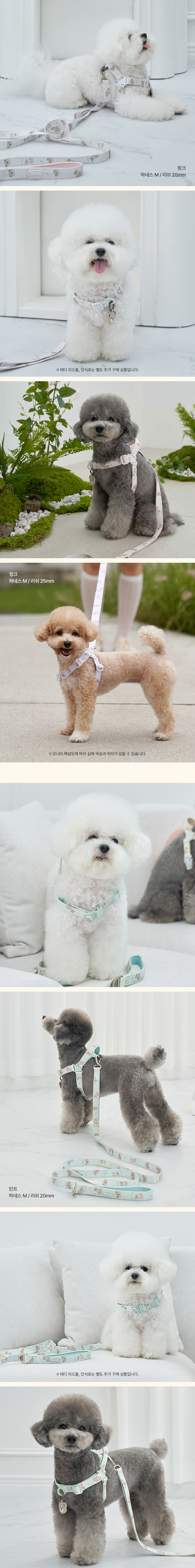 [무료배송] 베일리펫 강아지 웨빙 경량 산책 가슴줄 테디 워키 하네스 S-L (민트/아이보리/핑크) 5번째