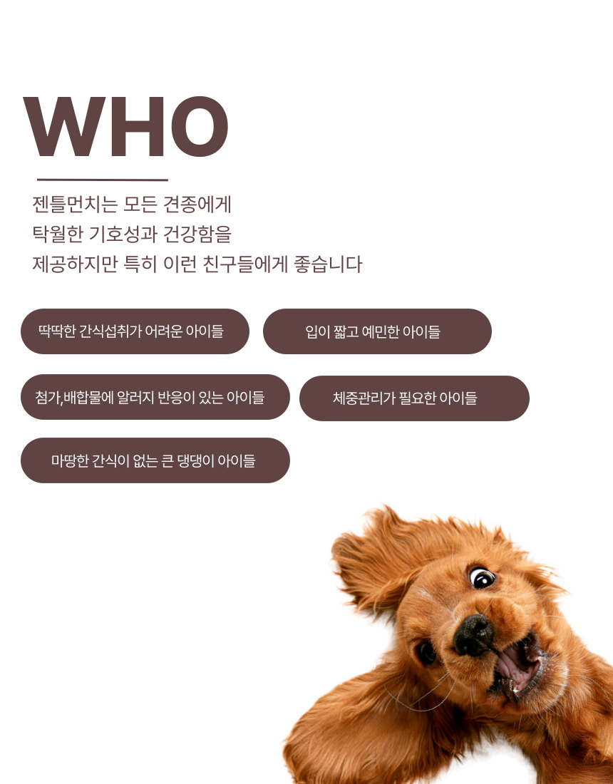 [NEW신상][무료배송] 오플 독 수제간식 젠틀먼치 닭고기 70g 15번째