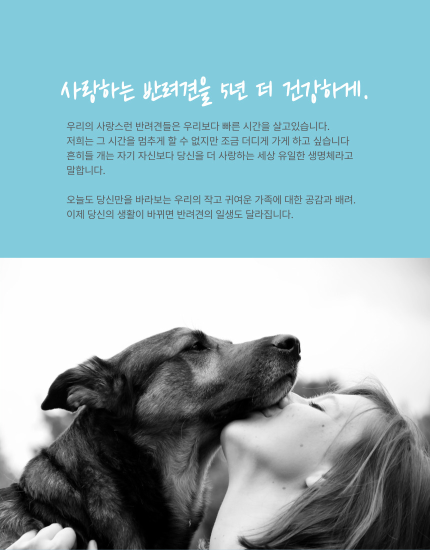 [NEW신상][무료배송] 오플 독 수제간식 젠틀먼치 닭고기 70g 27번째
