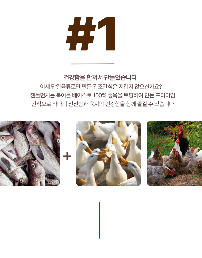 [NEW신상][무료배송] 오플 독 수제간식 젠틀먼치 닭고기 70g 7번째