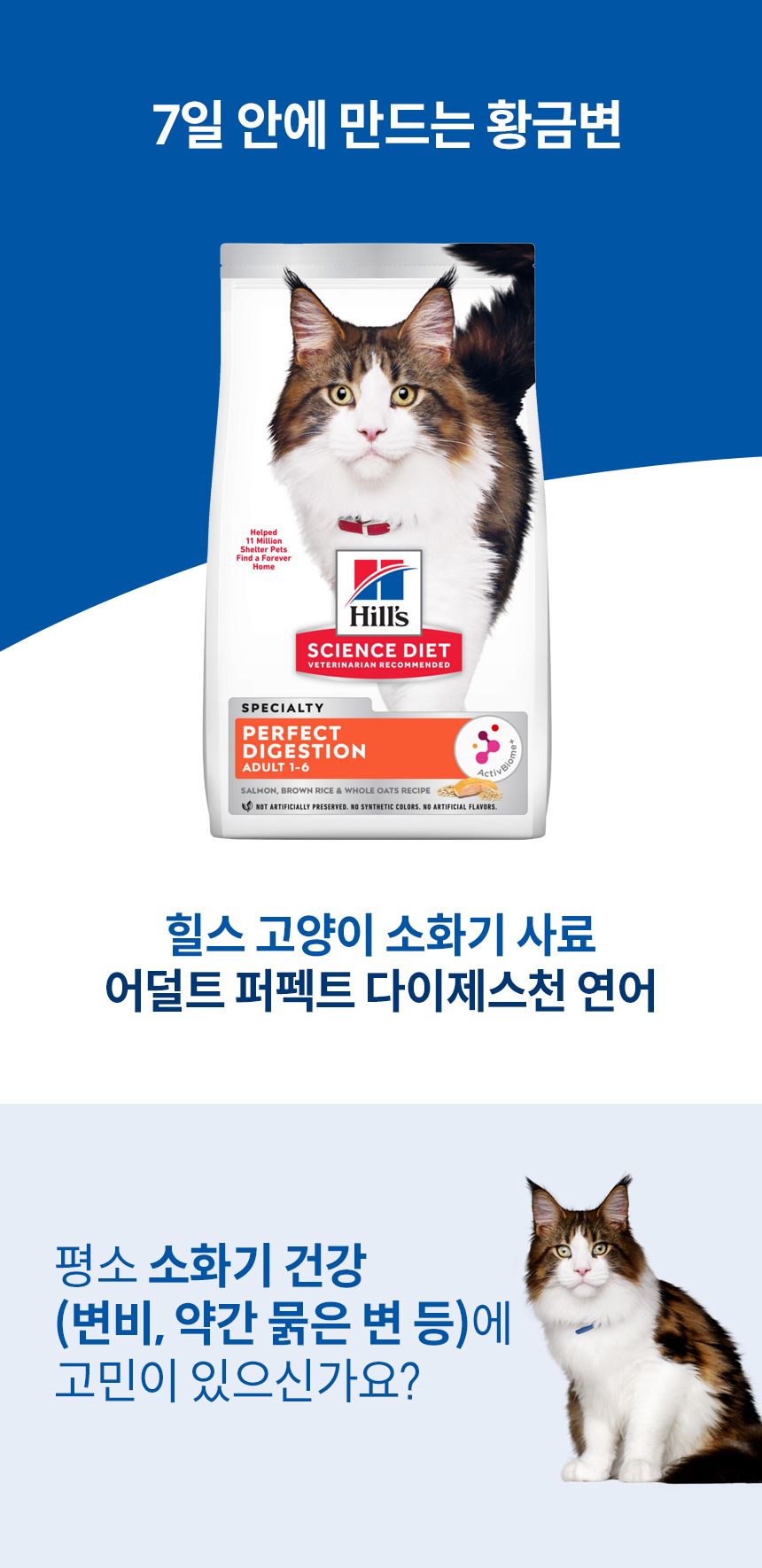 힐스 캣 어덜트 1+ 퍼펙트 다이제스쳔 연어 1.6kg 1번째