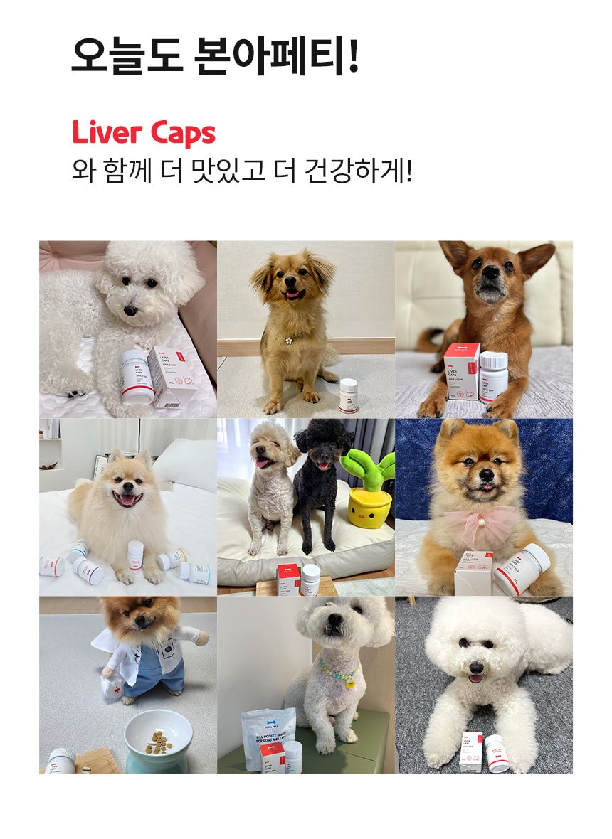 [무료배송] 본아페티 독 스테이핏 리버캡스 60정 13번째