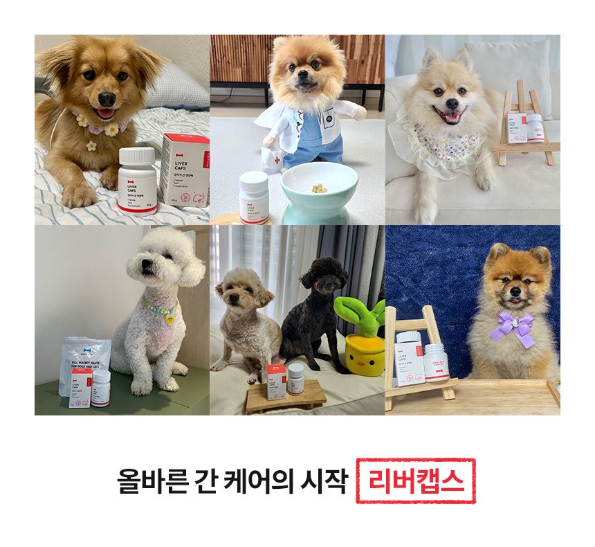 [무료배송] 본아페티 독 스테이핏 리버캡스 60정 2번째
