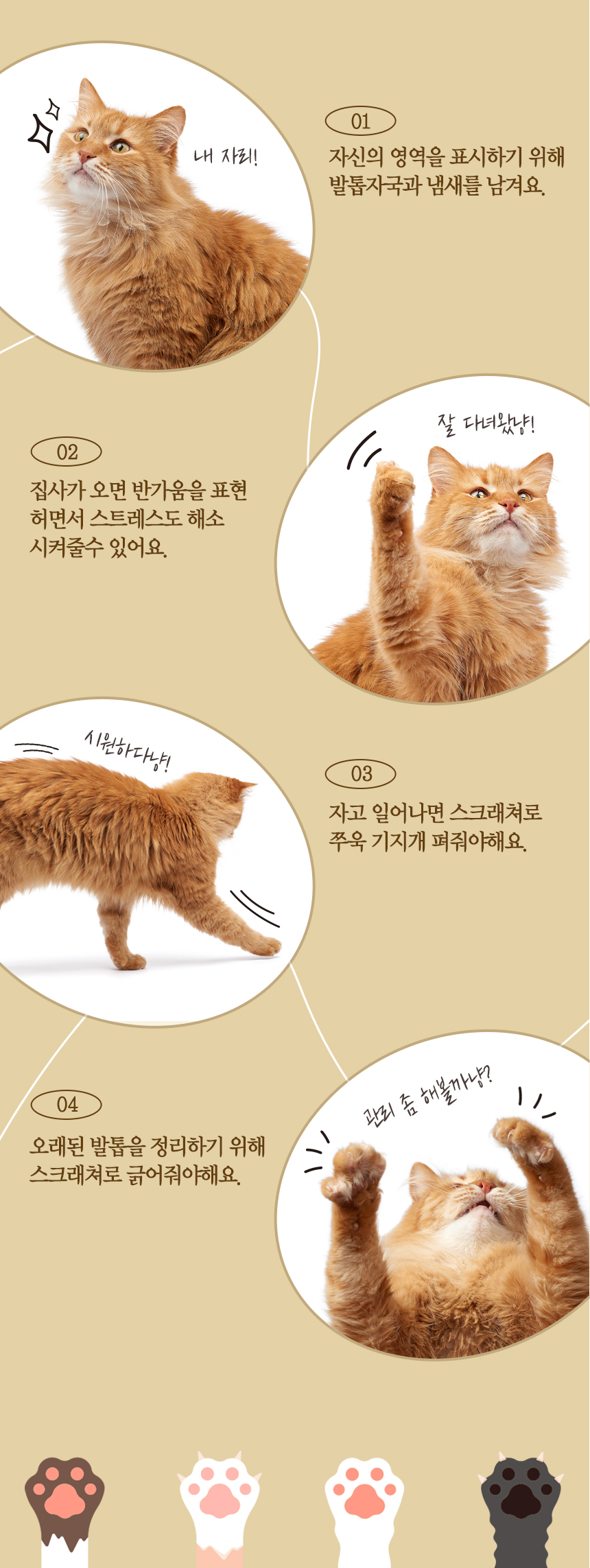 [무료배송] 펫토리아 한발뚝딱 1단 하프볼 수직 스크래쳐 5번째