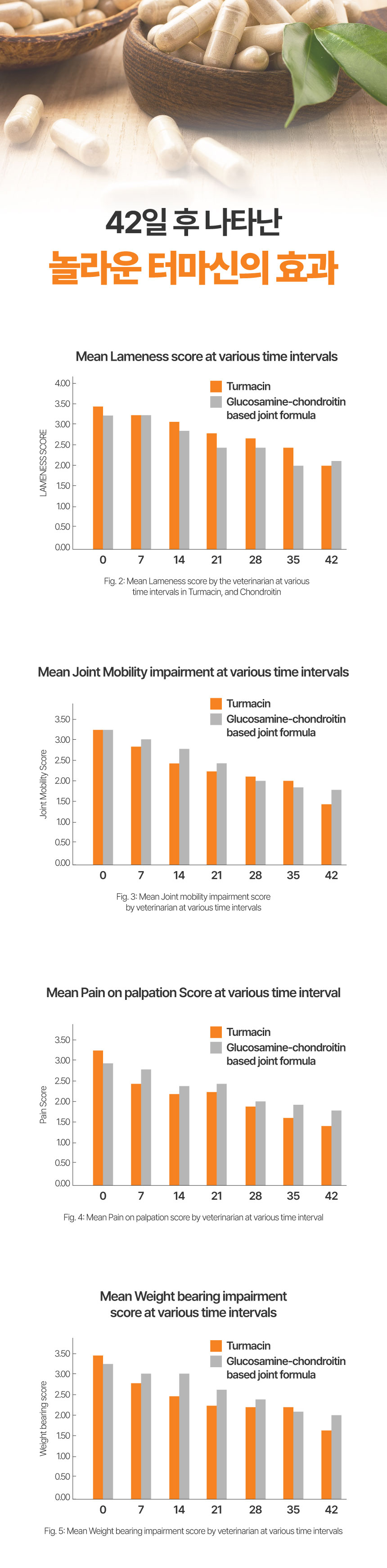 [NEW신상][무료배송] 메이드인랩 관절영양제 조인트 터마신 맥스 36캡슐 22번째