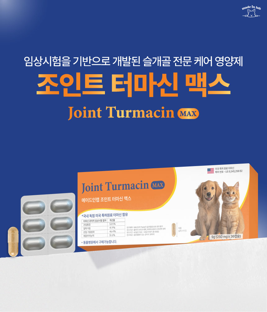 [NEW신상][무료배송] 메이드인랩 관절영양제 조인트 터마신 맥스 36캡슐 4번째