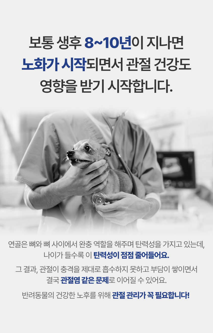 [NEW신상][무료배송] 메이드인랩 관절영양제 조인트 터마신 맥스 36캡슐 13번째