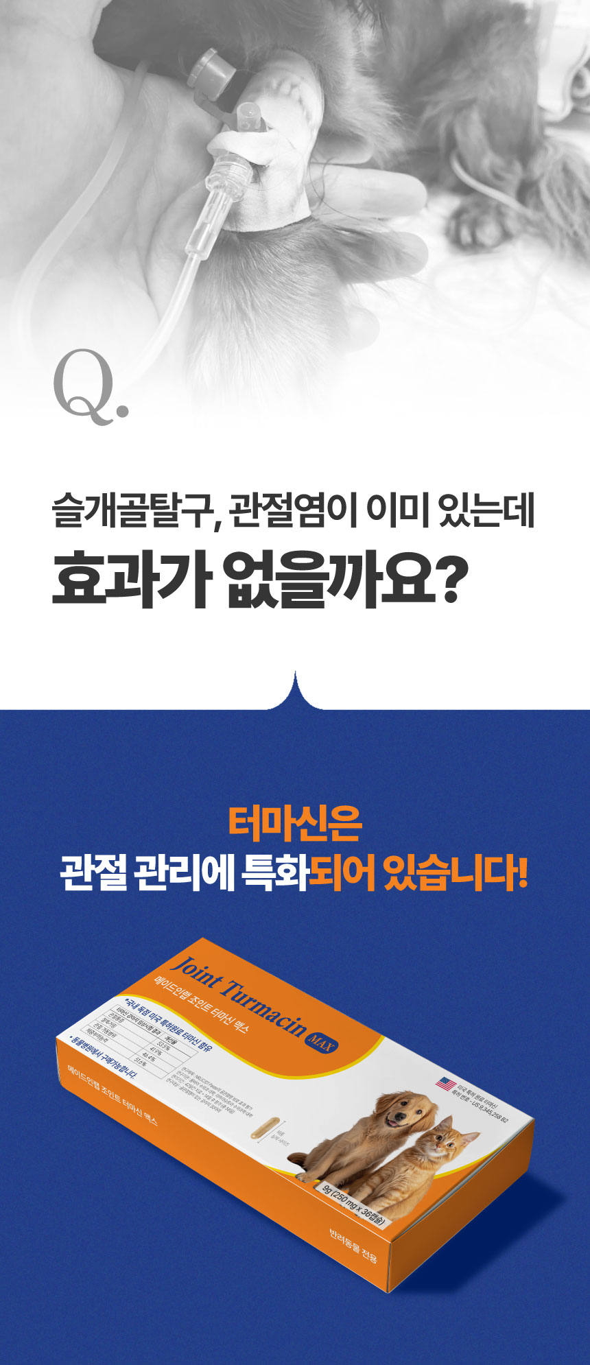 [NEW신상][무료배송] 메이드인랩 관절영양제 조인트 터마신 맥스 36캡슐 9번째