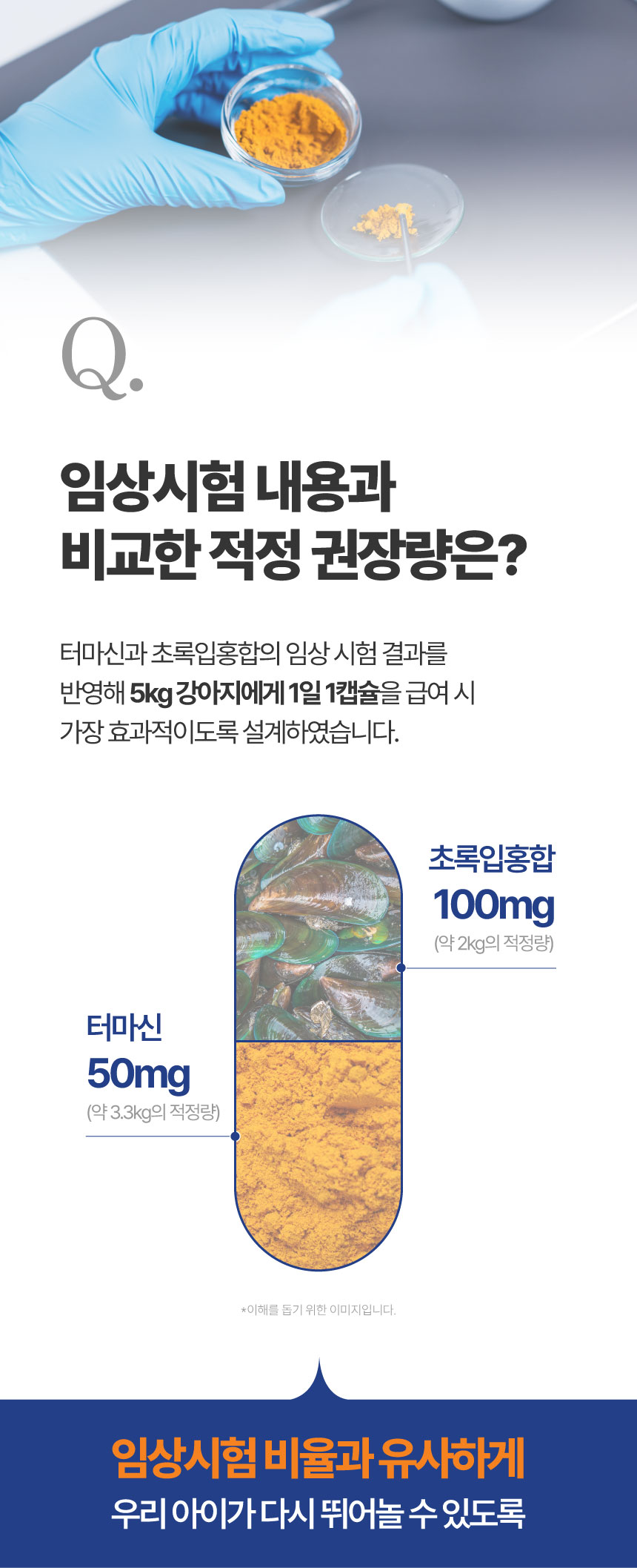 [NEW신상][무료배송] 메이드인랩 관절영양제 조인트 터마신 맥스 36캡슐 29번째