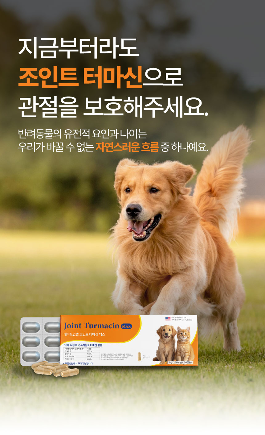 [NEW신상][무료배송] 메이드인랩 관절영양제 조인트 터마신 맥스 36캡슐 14번째