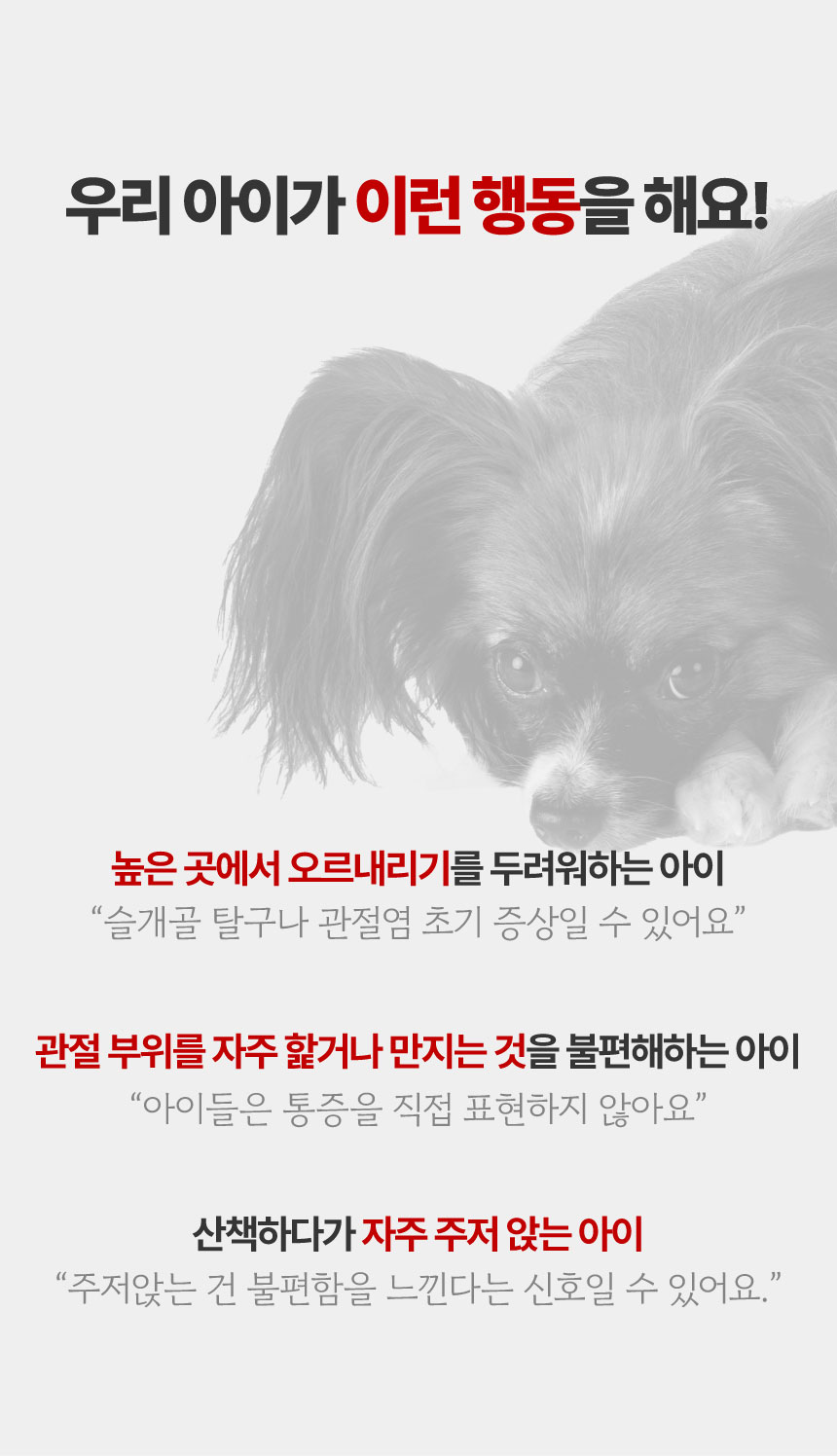 [NEW신상][무료배송] 메이드인랩 관절영양제 조인트 터마신 맥스 36캡슐 8번째