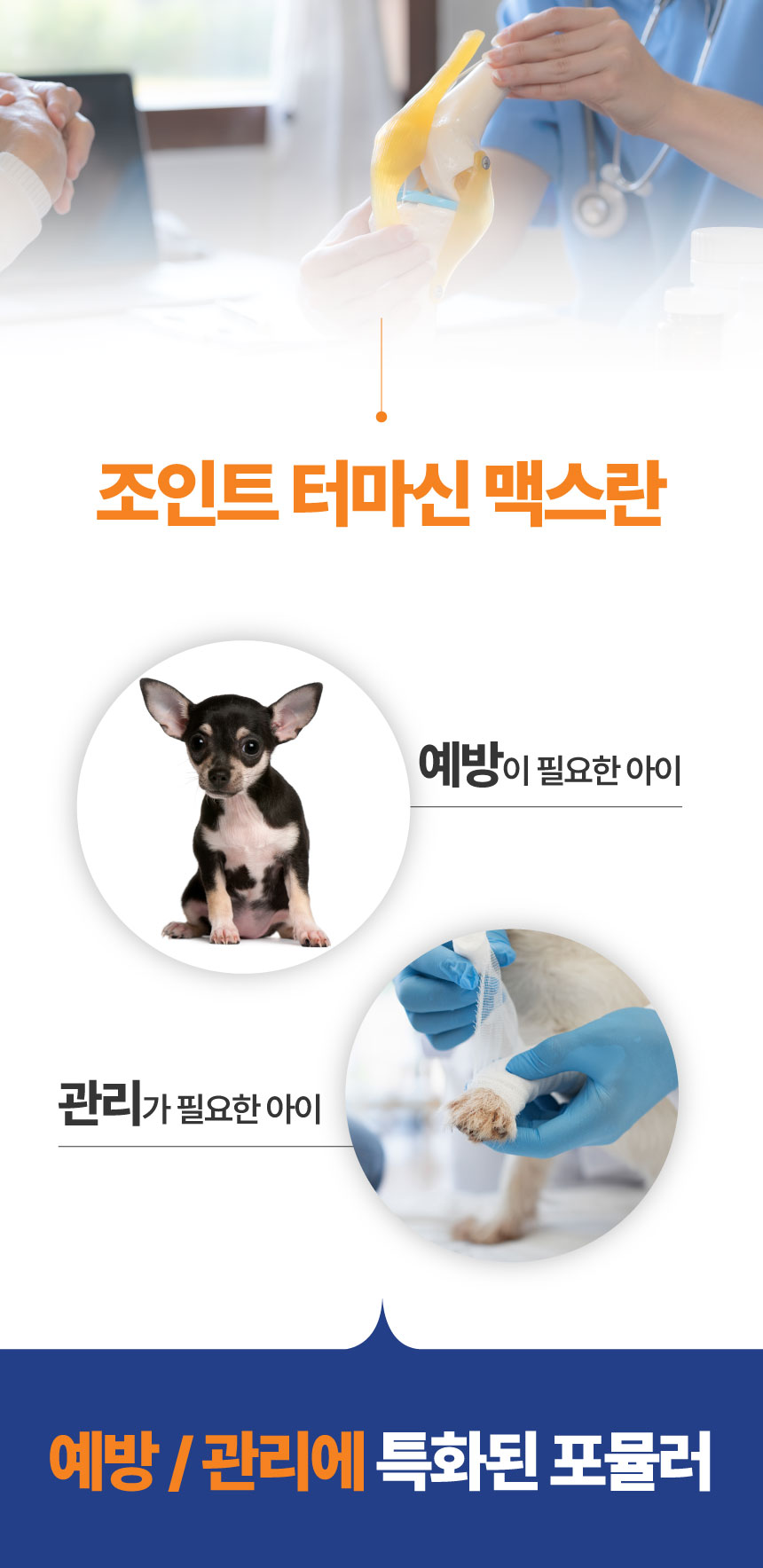 [NEW신상][무료배송] 메이드인랩 관절영양제 조인트 터마신 맥스 36캡슐 11번째