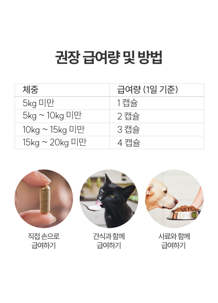[NEW신상][무료배송] 메이드인랩 관절영양제 조인트 터마신 맥스 36캡슐 39번째