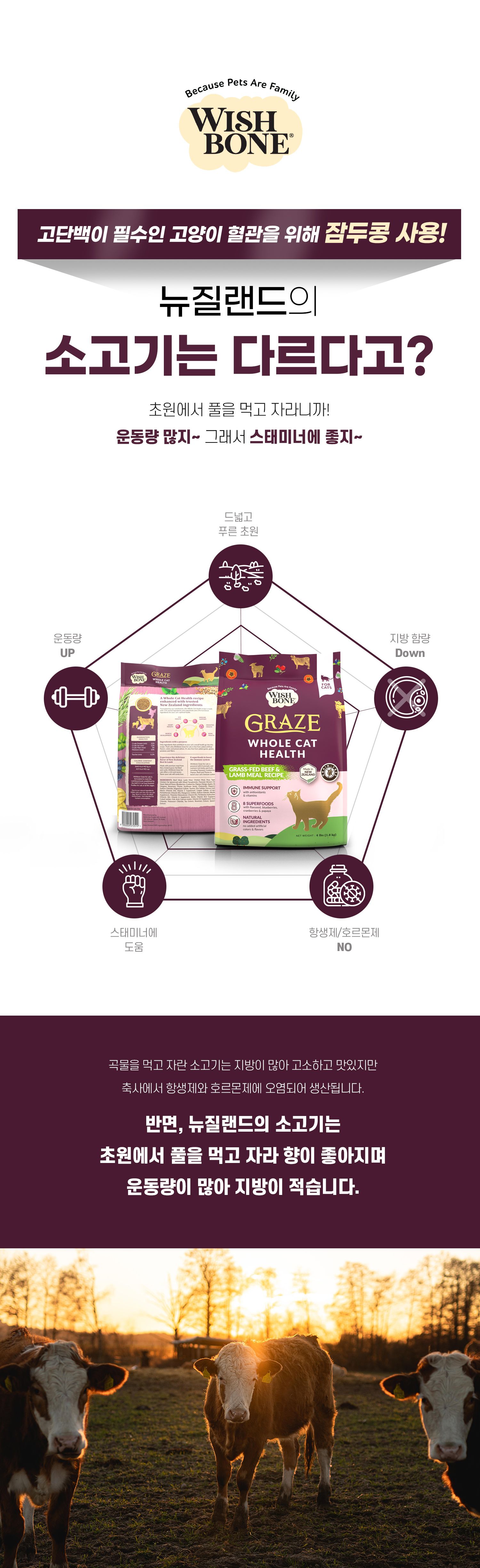 [유통기한임박, 26년4월11일] 위시본 캣 홀리스틱 그레인프리 소고기 4.5kg 15번째