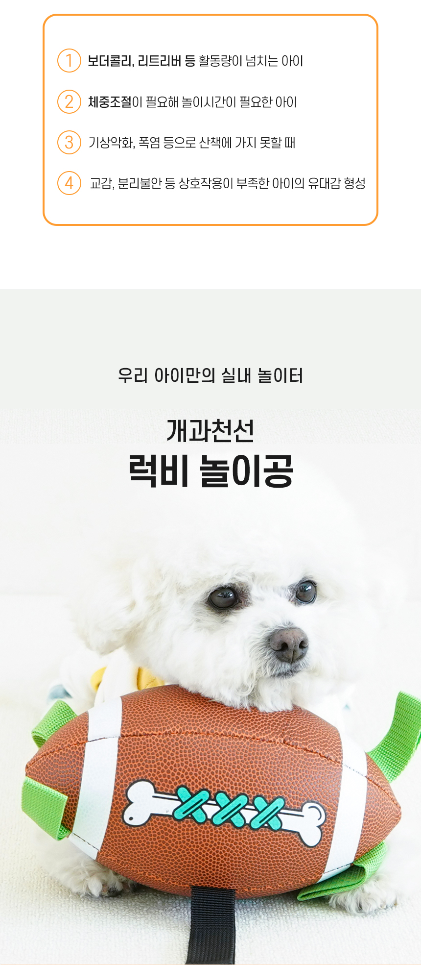 [NEW신상][무료배송] 개과천선 럭비 놀이 장난감 공 2번째