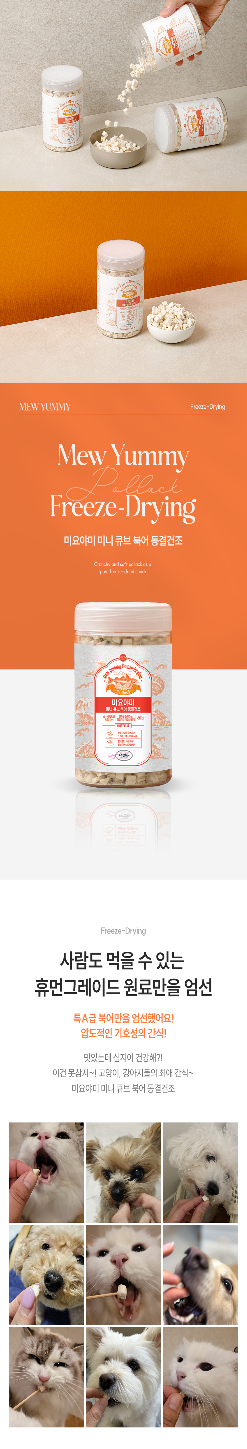 [NEW신상][무료배송] [2개] 미요야미 미니큐브 북어 동결건조 60g 1번째