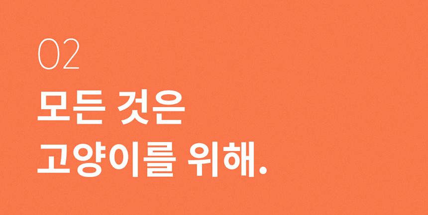[무료배송] 두잇 푸푸박스 큐브 화이트/민트 10번째