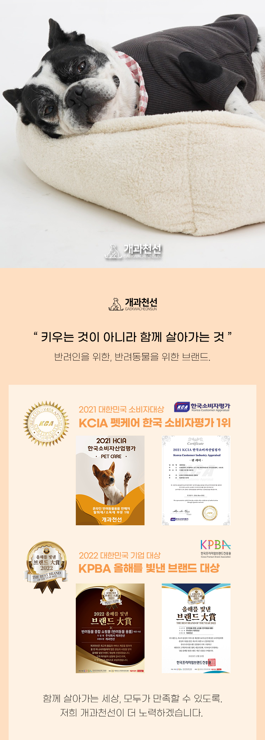 [NEW신상][무료배송] 개과천선 코튼 방석 (아이보리 베이지/그레이) 3번째
