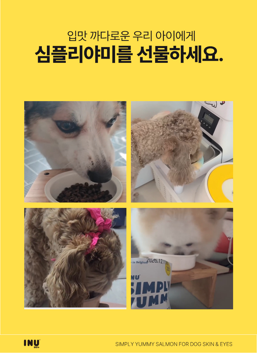 [NEW신상][무료배송] 아이누 심플리야미 살몬포독 스킨&아이즈 2.5kg 22번째