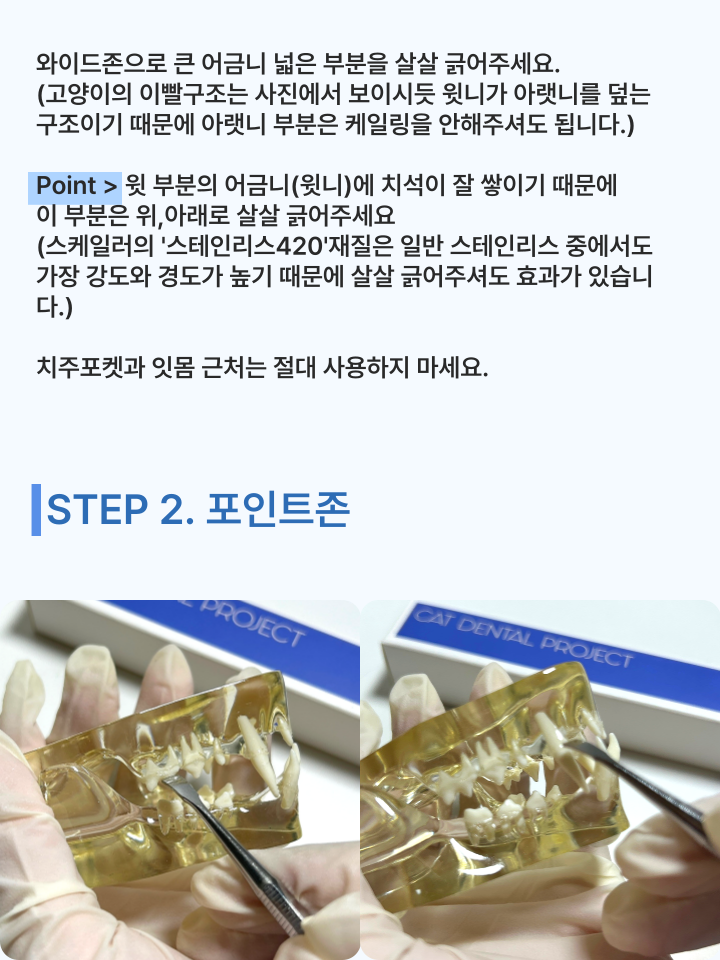 [NEW신상][무료배송] 캣디피 홈케일러 고양이 전용 치석제거기 33번째