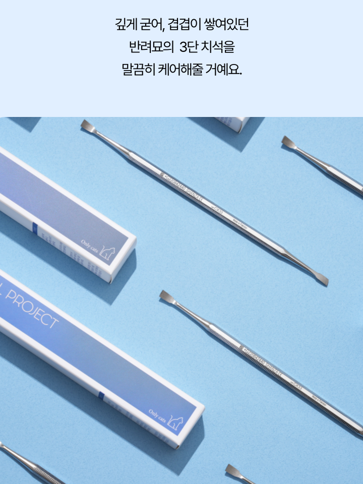 [NEW신상][무료배송] 캣디피 홈케일러 고양이 전용 치석제거기 20번째