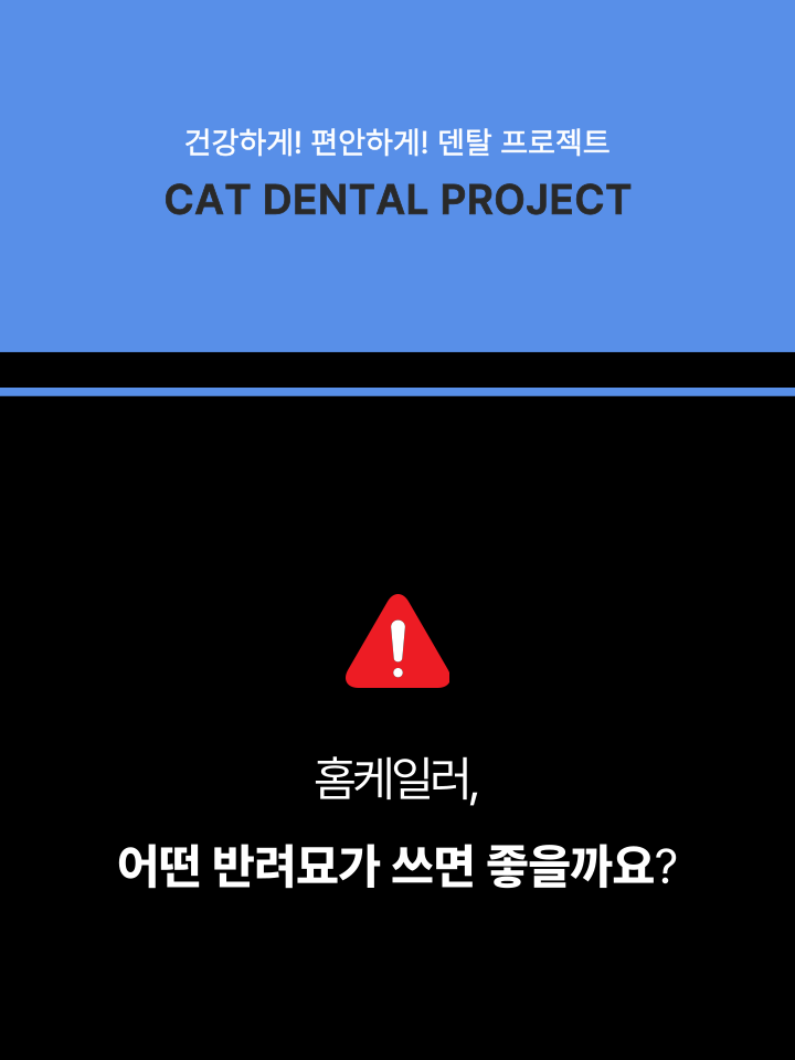 [NEW신상][무료배송] 캣디피 홈케일러 고양이 전용 치석제거기 9번째