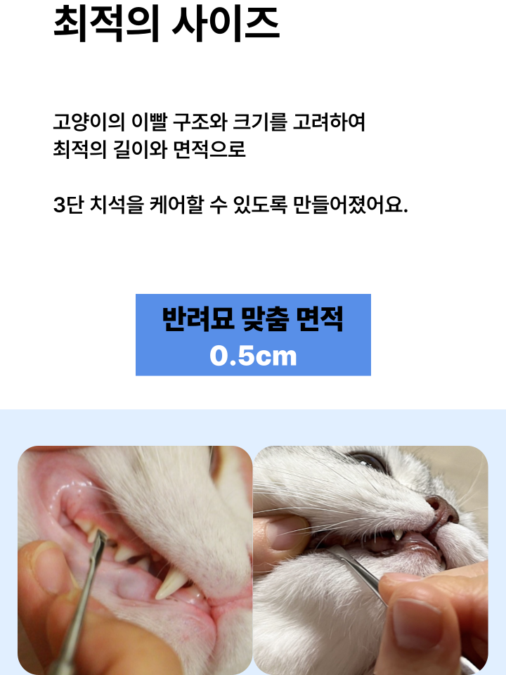 [NEW신상][무료배송] 캣디피 홈케일러 고양이 전용 치석제거기 27번째