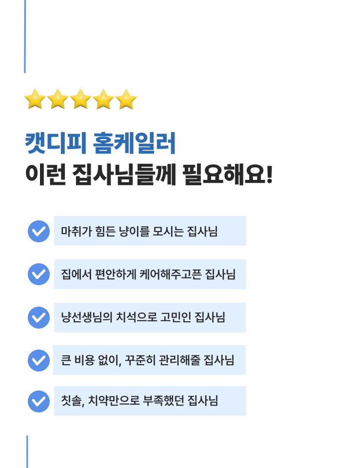 [NEW신상][무료배송] 캣디피 홈케일러 고양이 전용 치석제거기 42번째