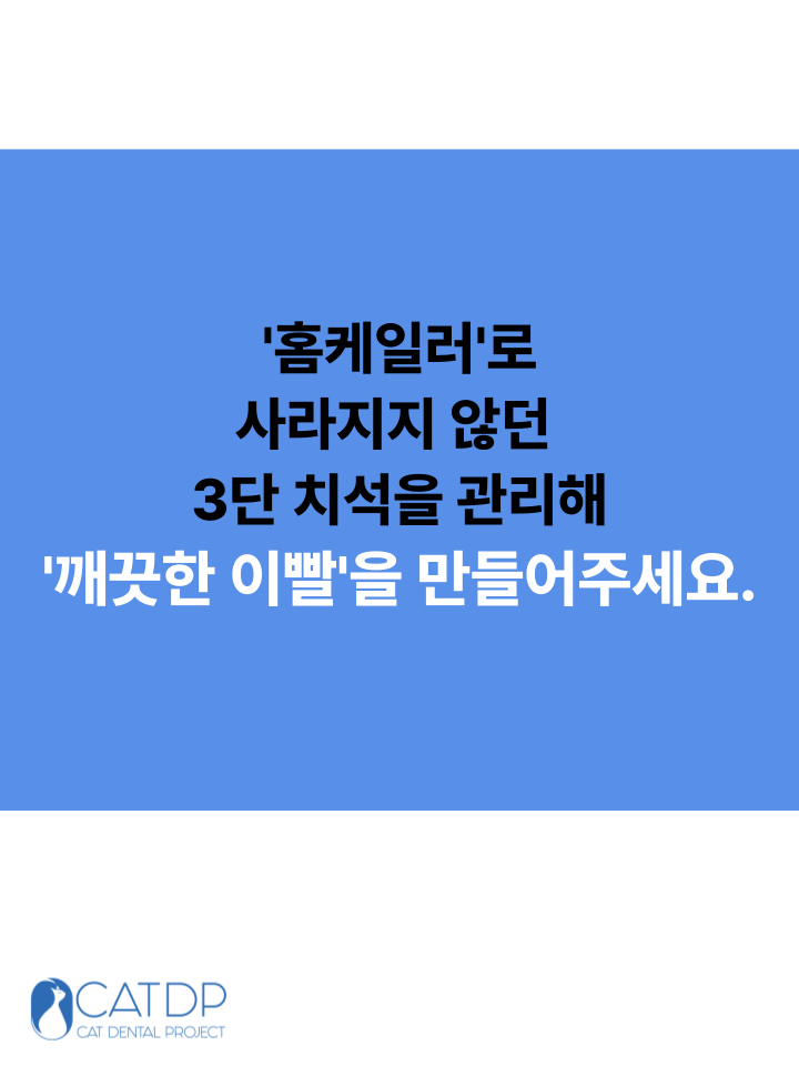 [NEW신상][무료배송] 캣디피 홈케일러 고양이 전용 치석제거기 5번째