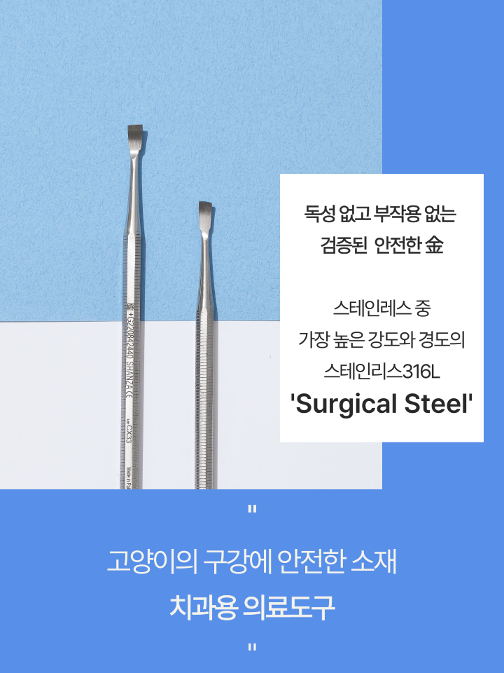 [NEW신상][무료배송] 캣디피 홈케일러 고양이 전용 치석제거기 13번째