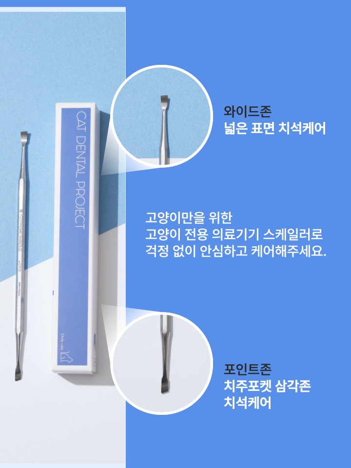 [NEW신상][무료배송] 캣디피 홈케일러 고양이 전용 치석제거기 29번째