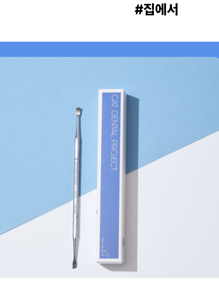 [NEW신상][무료배송] 캣디피 홈케일러 고양이 전용 치석제거기 7번째