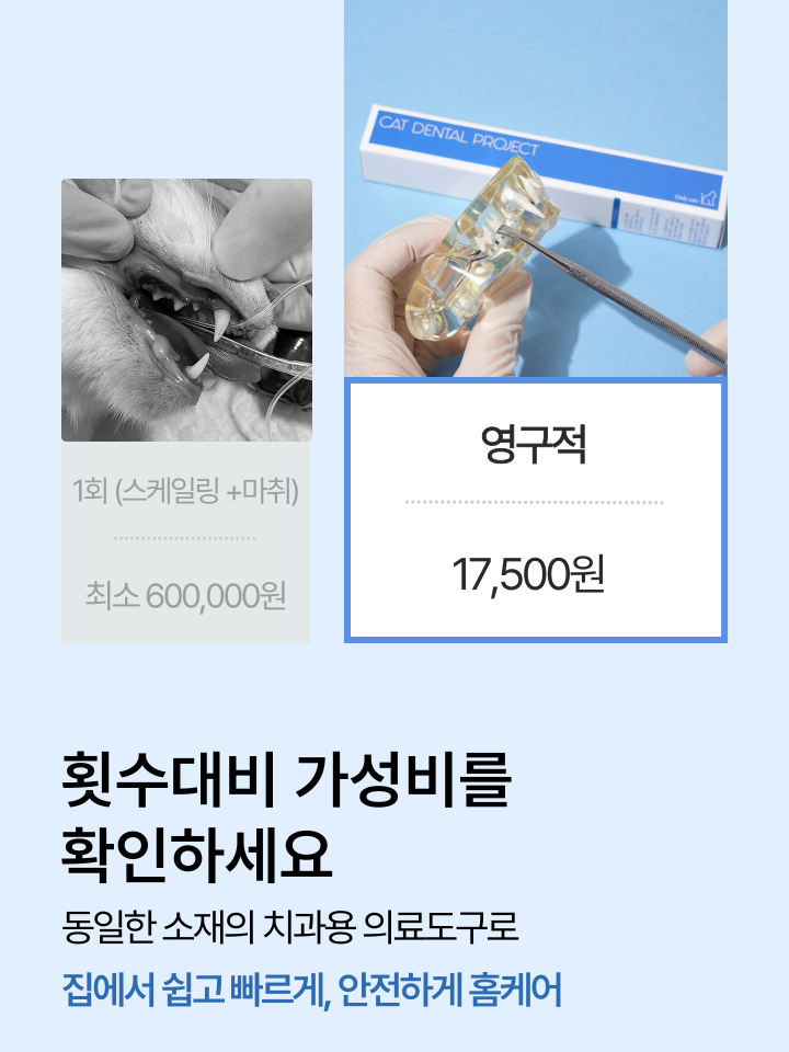 [NEW신상][무료배송] 캣디피 홈케일러 고양이 전용 치석제거기 39번째