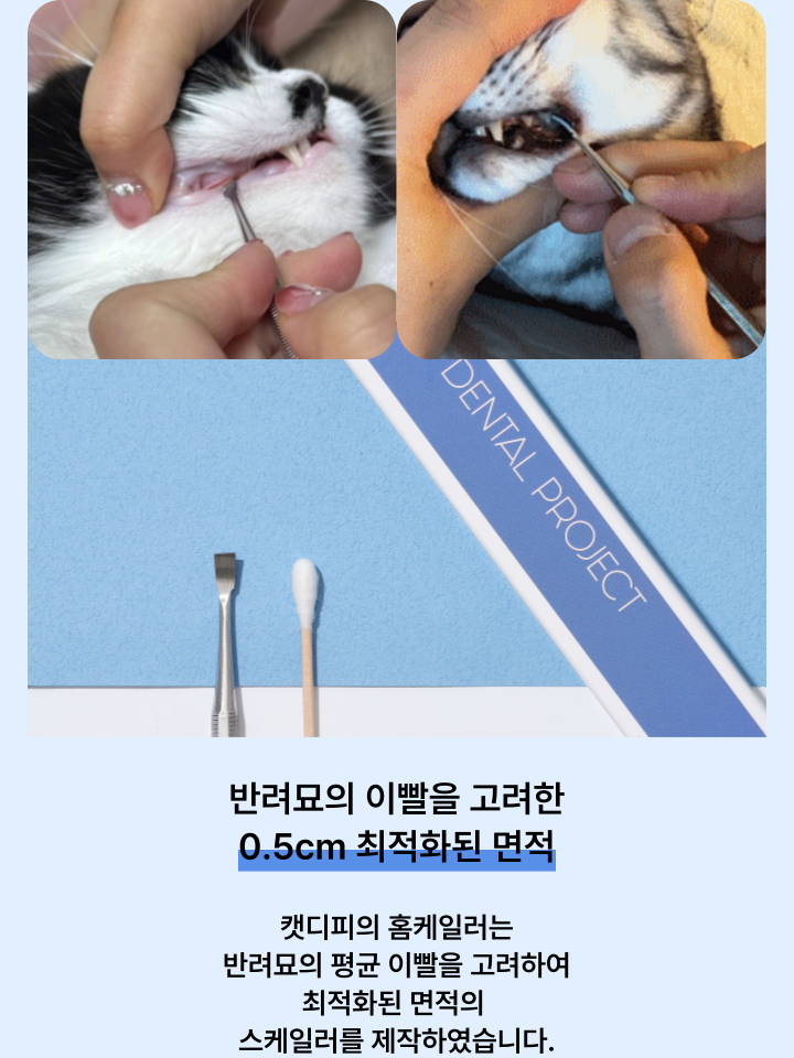 [NEW신상][무료배송] 캣디피 홈케일러 고양이 전용 치석제거기 28번째