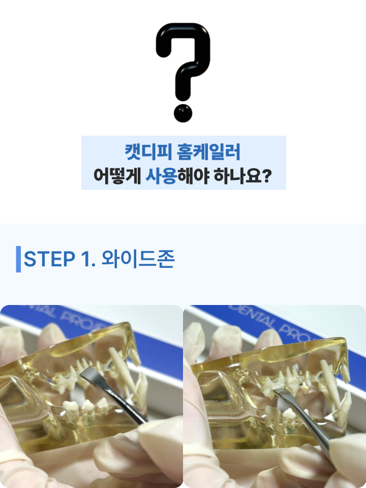 [NEW신상][무료배송] 캣디피 홈케일러 고양이 전용 치석제거기 32번째